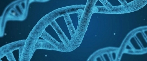<br />
Генетики призвали к мораторию на создание ГМ-детей/><br />
